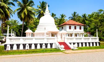 2 Nights 3 Days Negombo and Colombo Tour Package