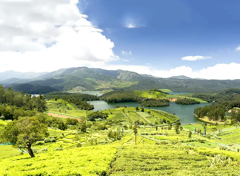 3 Nights 4 Days Ooty Group Tour Package with Mysore - Myholidays.com