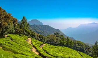 Munnar Tour Package 4 Days 3 Nights