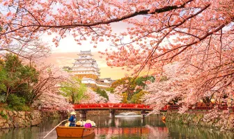 Delightful 3 Nights 4 Days Japan Couple Tour Package