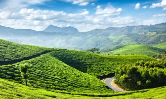 4 Days 3 Nights Amazing Munnar Group Tour Package