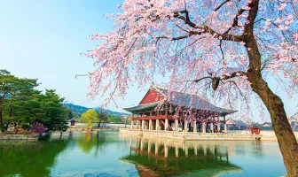 Exciting 5 Nights 6 Days Seoul Tour Package
