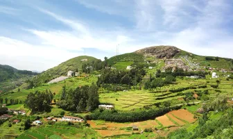 Wayanad and Ooty 5 Nights 6 Days Couple Tour Package