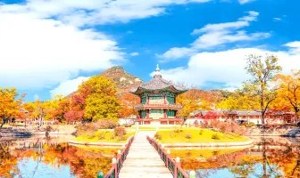 5 Nights 6 Days Romantic Seoul Tour Package for Couple