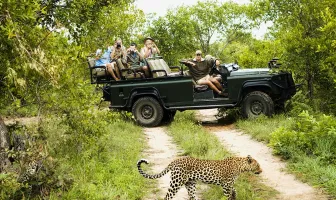 Pilanesberg Safari 3 Nights 4 Days Johannesburg Tour Package