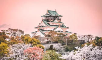 8 Days 7 Nights Tokyo and Osaka New Year Tour Package
