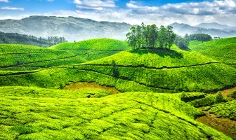 3 Nights 4 Days Munnar and Alleppey Winter Tour Package