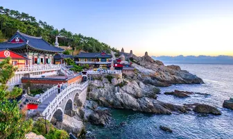 Seoul Busan and Jeju Island Honeymoon Package for 12 Days 11 Nights
