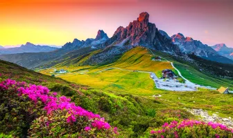7 Nights 8 Days Valley of Flowers Tour Package
