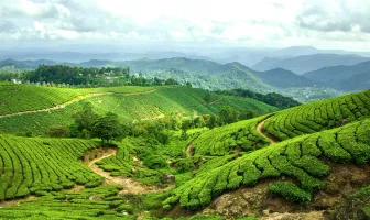 Alluring Munnar 3 Nights 4 Days Couple Tour Package with Thekkady