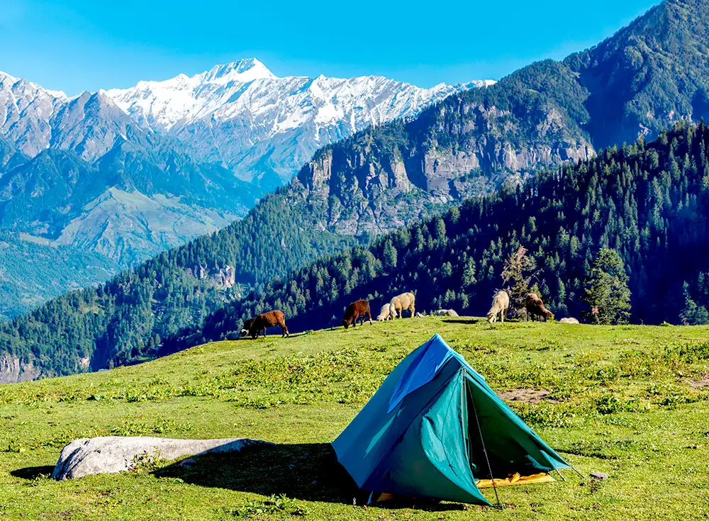 Delightful 7 Days 6 Nights Kullu Manali Shimla Honeymoon Package