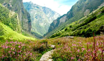 4 Nights 5 Days Valley Of Flowers Tour Package