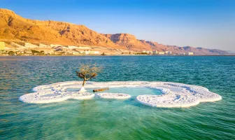 Jordan Desert Camping 7 Nights 8 Days Tour Package with Dead Sea