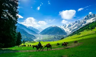 Magical Kashmir Honeymoon Package for 6 Nights 7 Days