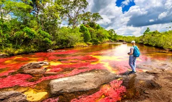 Bogota 6 Nights 7 Days Tour Package with Cano Cristales