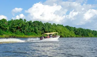 Amazon Jungle 2 Nights 3 Days Tour Package