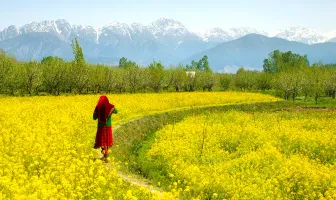 6 Nights 7 Days Beautiful Kashmir New Year Tour Package