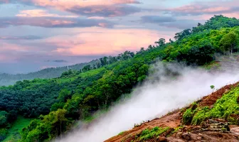 Romantic Ooty and Coorg 4 Nights 5 Days Honeymoon Package