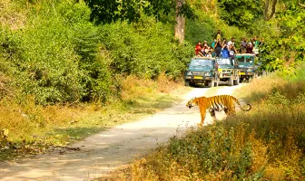 Corbett The Grand 2 Nights 3 Days Tour Package