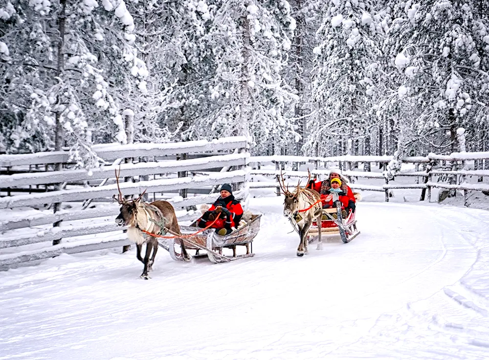 rovaniemi tour package