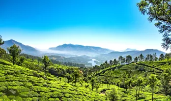 4 nights 5 days Munnar winter Tour Package with Thekkady and Alleppey