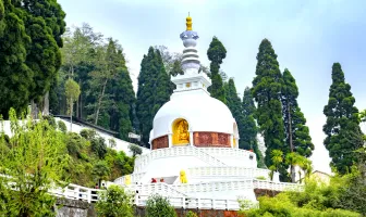6 Nights 7 Days Darjeeling Budget Tour Package with Gangtok