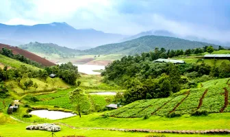 Hotel Preethi Classic Towers Ooty Tour Package for 3 Days 2 Nights