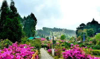 Kalimpong 3 Nights 4 Days Tour Package For Couple