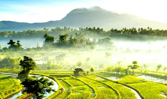 6 Nights 7 Days Bali Couple Tour Package