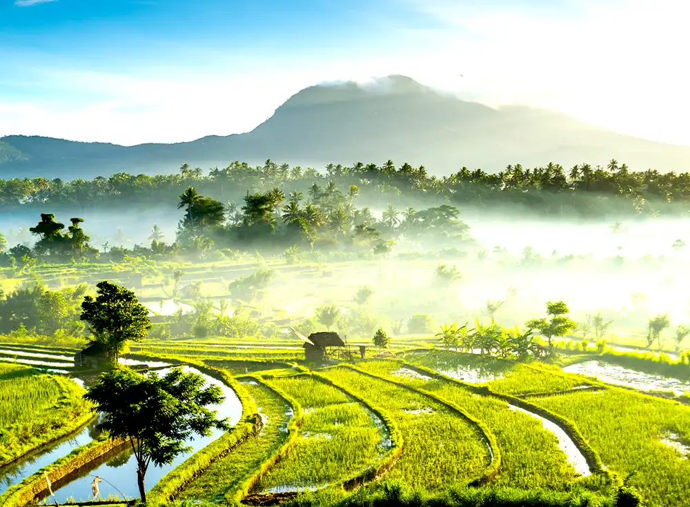 6 Nights 7 Days Bali Couple Tour Package - Myholidays.com