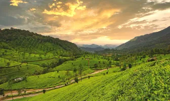 Delightful Kerala 5 Nights 6 Days Cultural Tour Package
