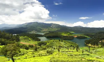 Amazing Ooty and Wayanad 4 Nights 5 Days Winter Tour Package