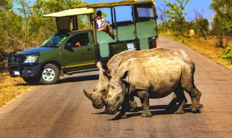 South Africa Luxury Safari Tour Package for 9 Days 8 Nights