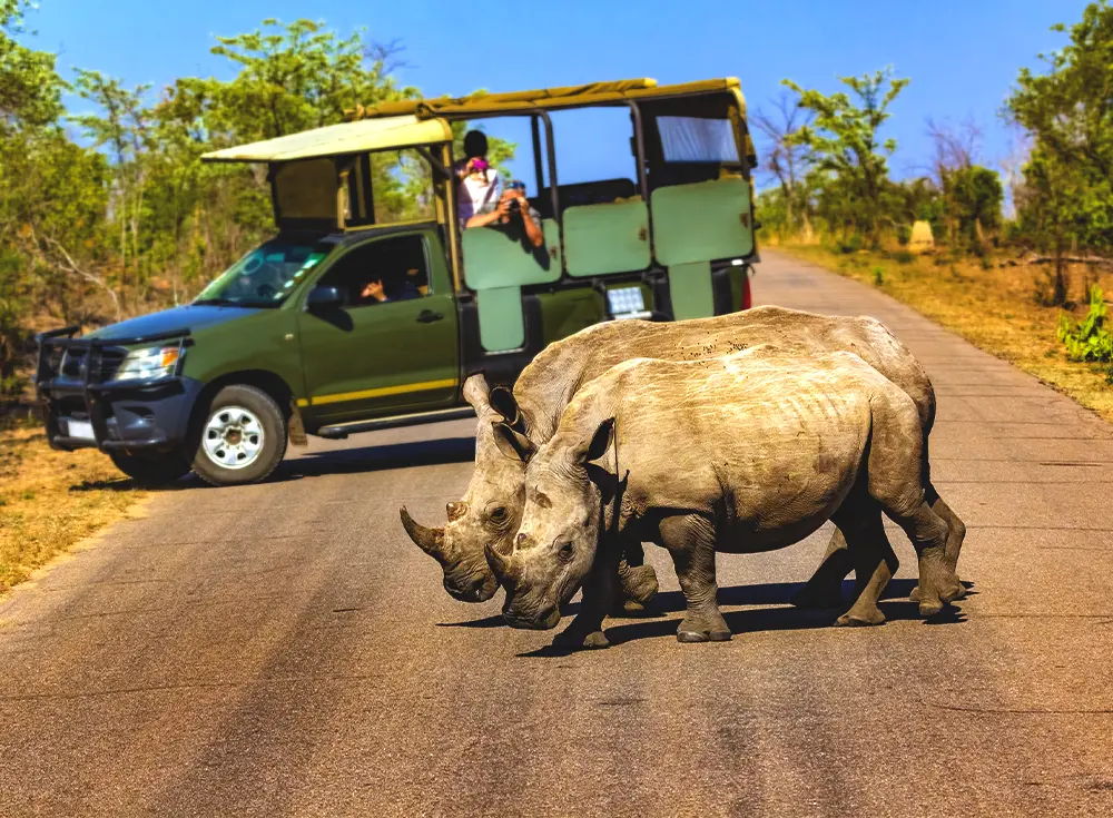 safari tour package