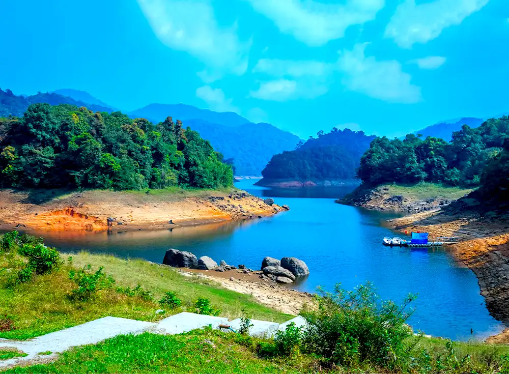 wayanad tour packages from kozhikode