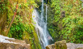 Pathankot Khajjiar Kalatop 4 Nights 5 Days Tour Package Pathankot Khajjiar Kalatop 4 Nights 5 Days Tour Package