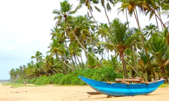 4 Nights 5 Days Bentota Tour Package With Colombo