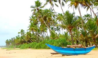 4 Nights 5 Days Bentota Tour Package With Colombo 4 Nights 5 Days Bentota Tour Package With Colombo