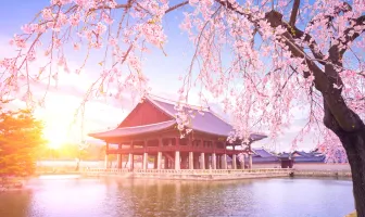 Exotic 5 Nights 6 Days South Korea Couple Tour Package