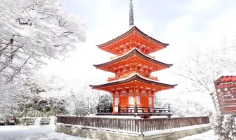 Tokyo Honeymoon Package for 4 Days 3 Nights