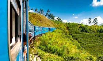 3 Nights 4 Days Colombo Tour Package With Kandy And Bentota