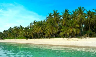 5 Days 4 Nights Magnificent Lakshadweep Cruise Tour Package