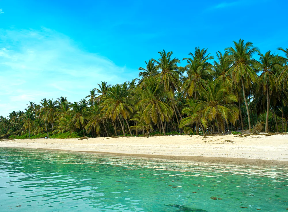 lakshadweep cruise packages from bangalore