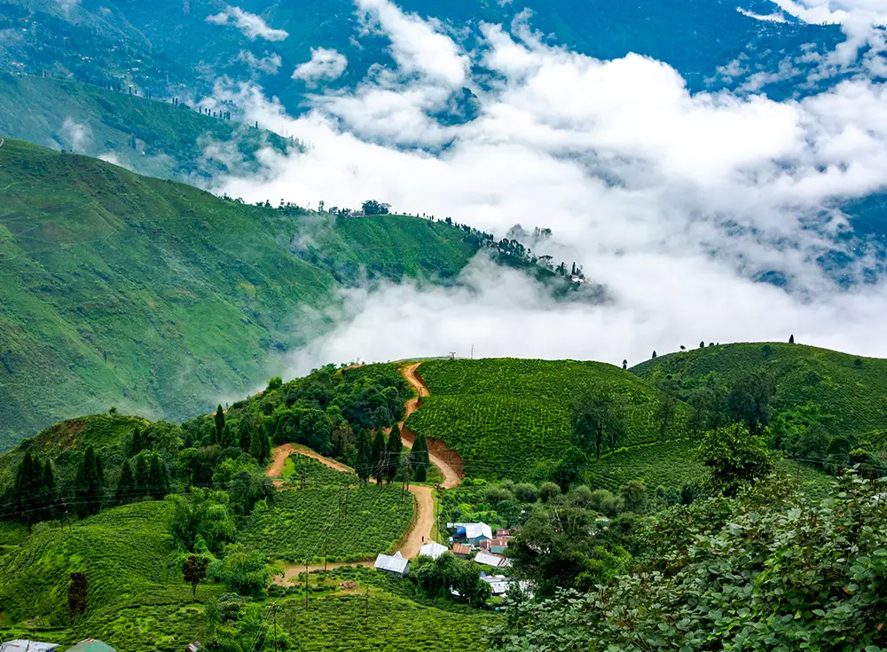 darjeeling tour package from siliguri