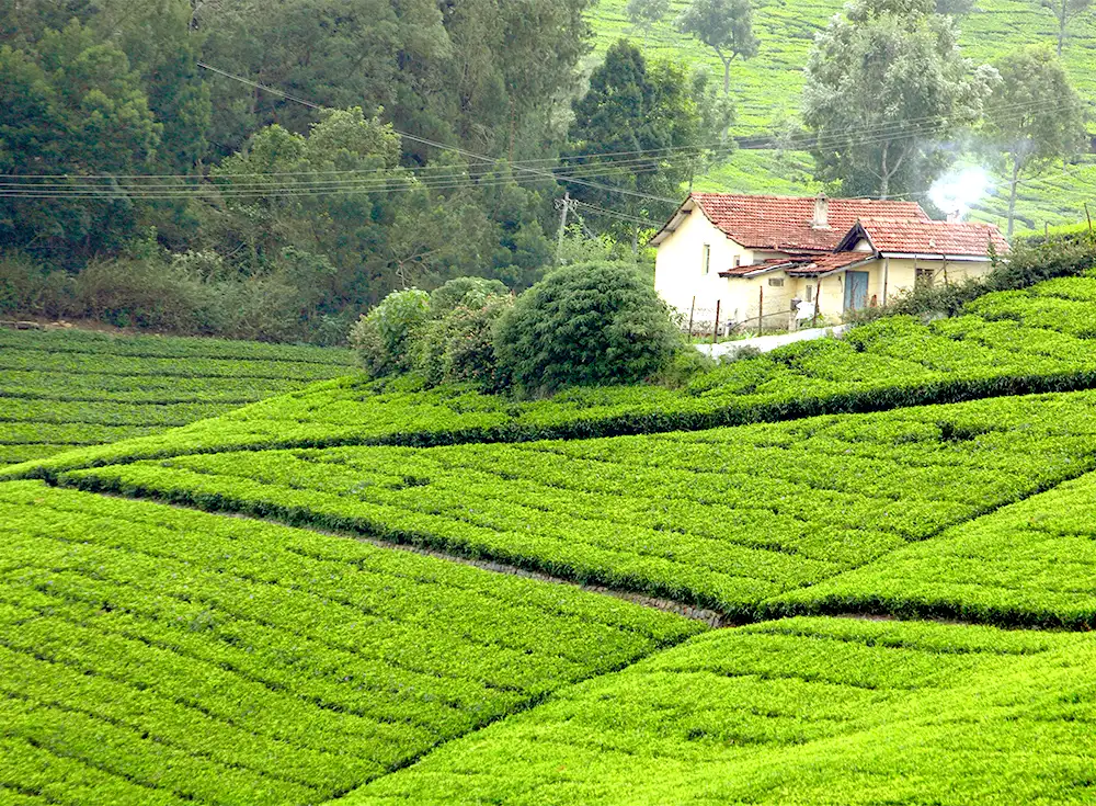 coonoor package tour from mumbai