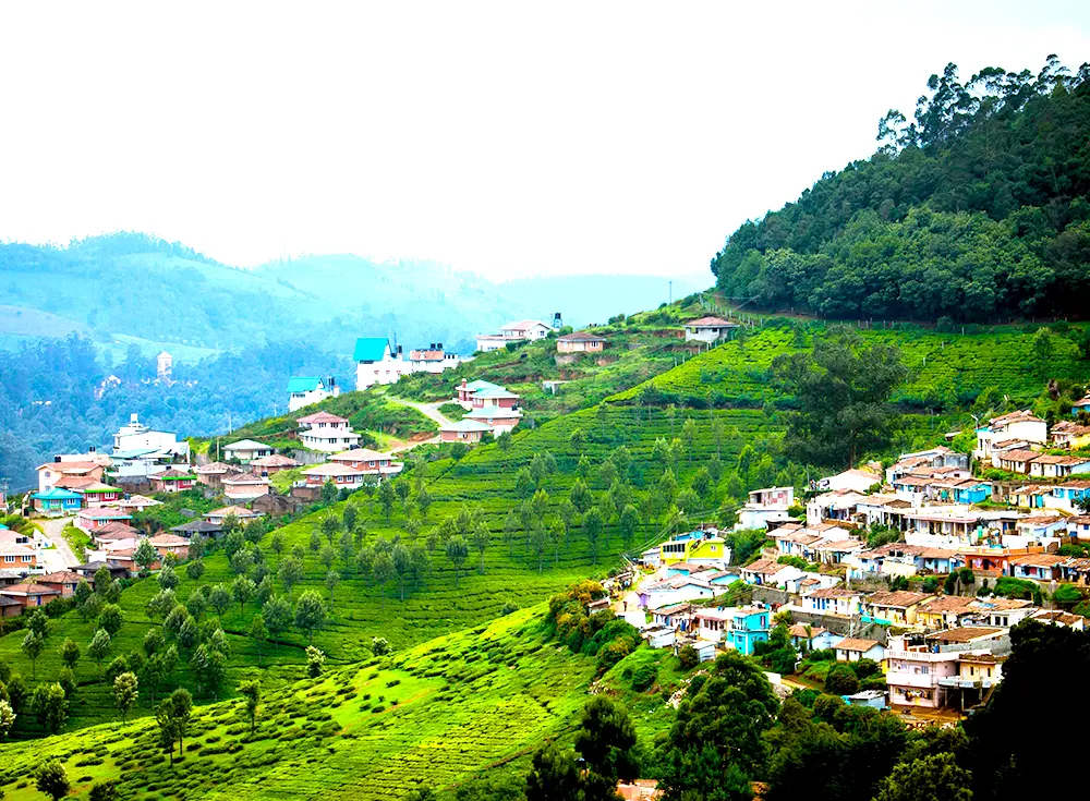 coonoor package tour from mumbai