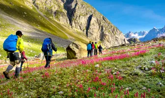 Manali Tour Package For 4 Days 3 Nights