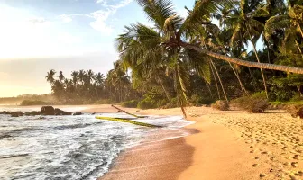 Kannur Tour Package for 6 Days 5 Nights