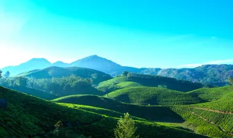 3 Nights 4 Days Munnar and Thekkady Group Tour Package