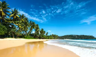 Magical Sri Lanka 3 Nights 4 Days New Year Tour Package